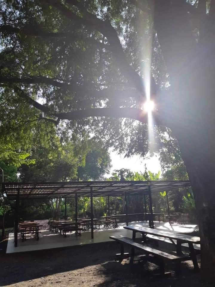 Blue Mountain Resort Sai Yok Bagian luar foto